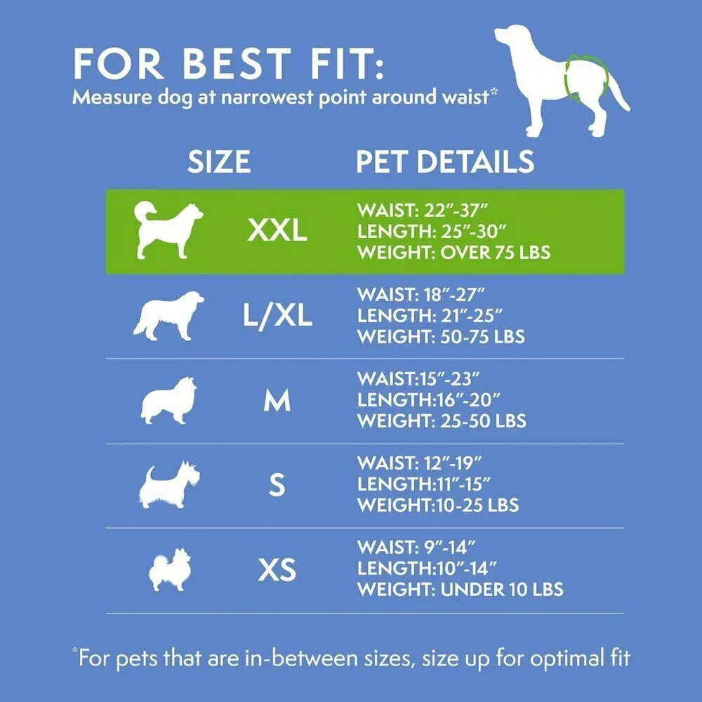 Simple Solution Dog Diapers